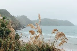 Embed LinkedIn: Video Portfolio Using WordPress